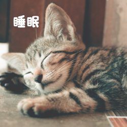 眠いときにはどうする？